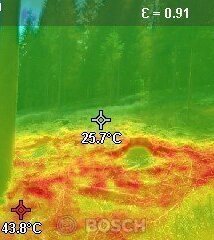 Temperaturprofil Waldrand Übergang zu Kalamitätsfläche
