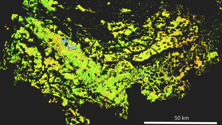 Forested areas of Thuringia - damage categories derived from Sentinel-2  summer 2018 vers summer 2019 (orange & red colors indicate deforested areas), data analysis PD Dr. S. Hese