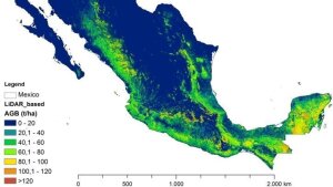 Karte: Waldbiomassekarte für Mexiko